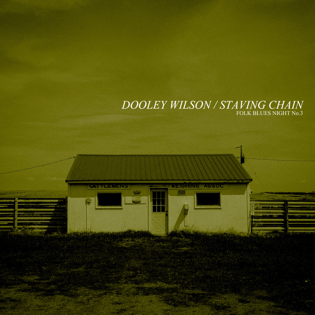Dooley Wilson & Danny Kroha - Detroit Woman Blues