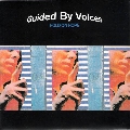 Guided&#x20;By&#x20;Voices Hold&#x20;On&#x20;Hope Artwork