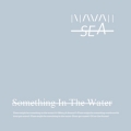 Navah&#x20;Sea Something&#x20;In&#x20;The&#x20;Water Artwork