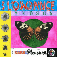 Mndsgn - Slowdance