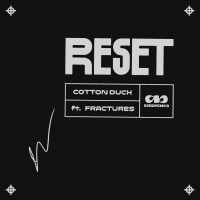 Cotton Duck X Fractures - Reset