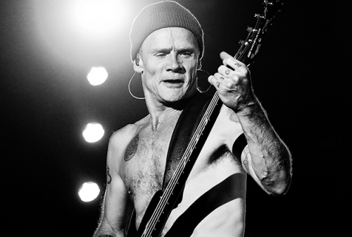 Red Hot Chili Peppers Bassist Flea Is Now A Beekeeper